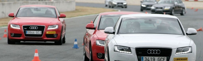 Curso de conducción Audi  para clientes de Leioa Wagen