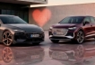 Audi electric lovers | Leioa Wagen